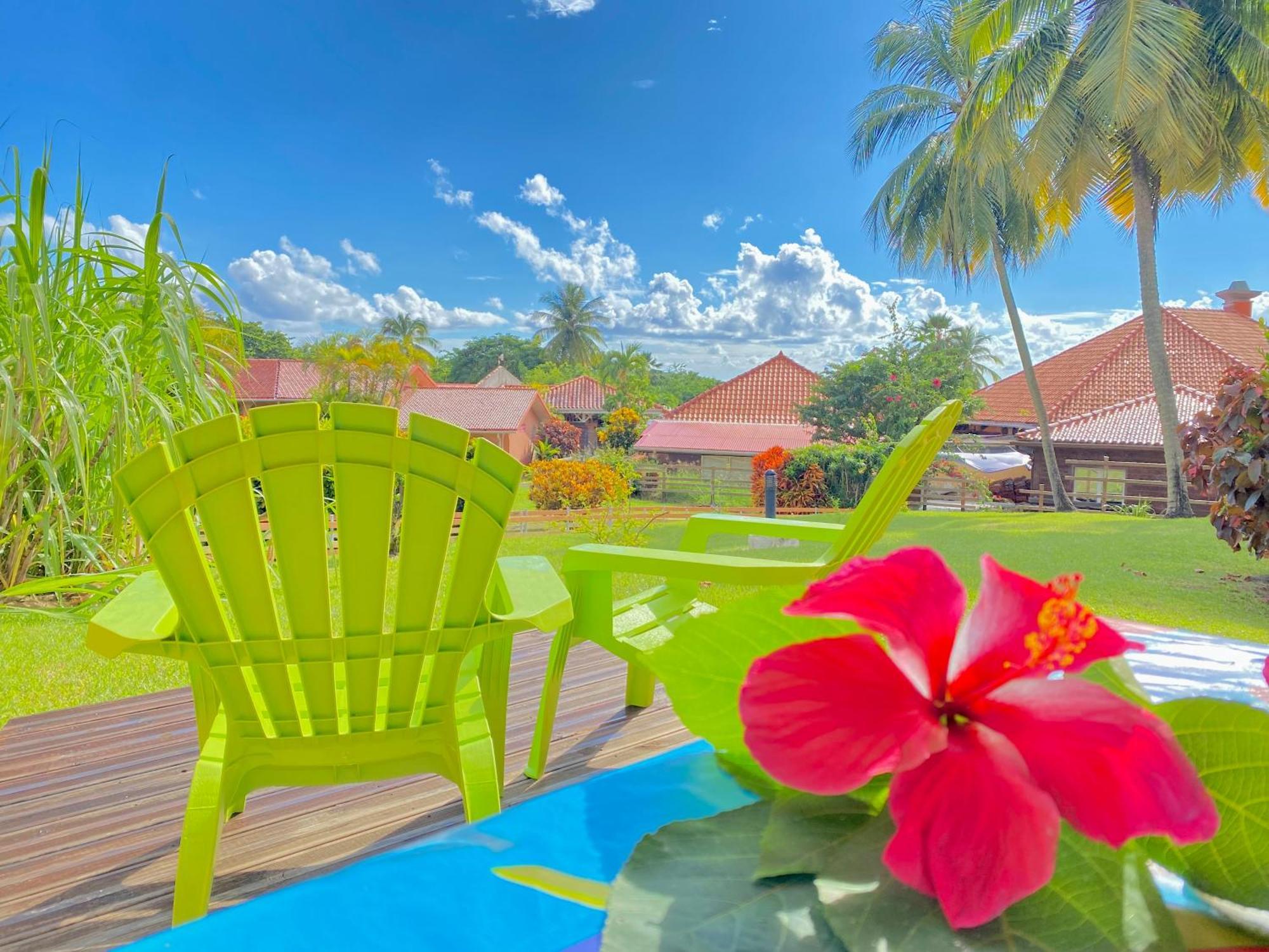 Studio Petite Plage - Pieds Dans L'Eau Sainte-Anne Extérieur photo